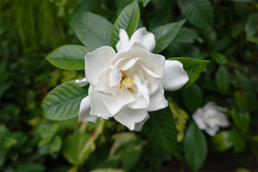 DSC08310_R