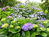 DSCF2138_R
