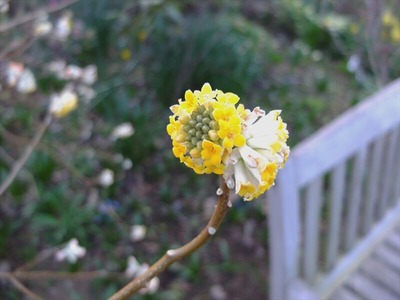 DSCF4702_R