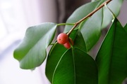 DSCF2843_R