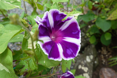 DSC09102_R