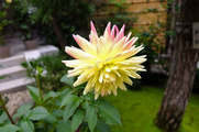 DSCF3668_R