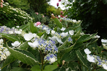 DSC08124_R