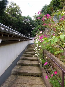 DSCF9029_R