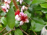 DSCF2107_R