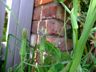 DSCF9773_R