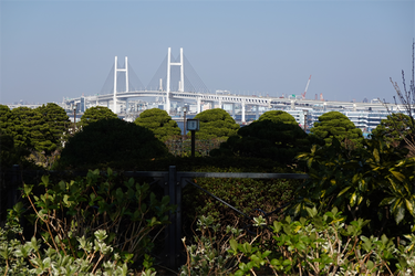 DSC00569_R