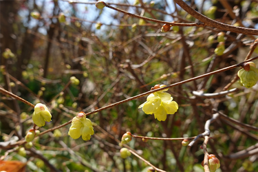 DSC05921_R