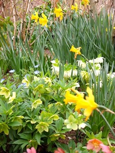 DSCF1351_R