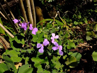 DSCF1074_R
