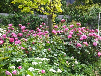 DSCF2879_R