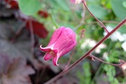 DSCF2187_R