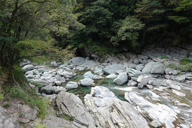 DSC09416_R