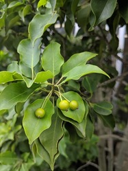 IMG_20190819_125201_R