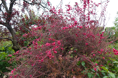 DSC06936_R