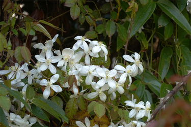 DSC06407_R