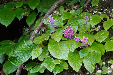 DSC08647_R
