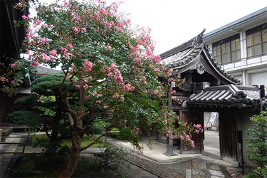 DSC09703_R