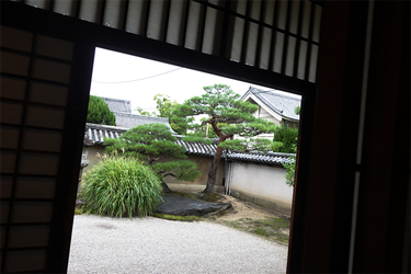DSC09701_R