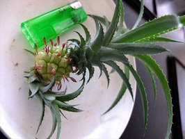 DSCF8882_R