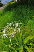 DSCF4153_R