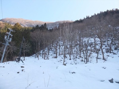 DSCF4430_R