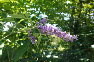DSC09015_R