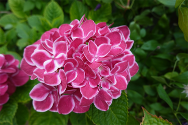 DSC08402_R