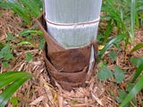 DSCF2638_R