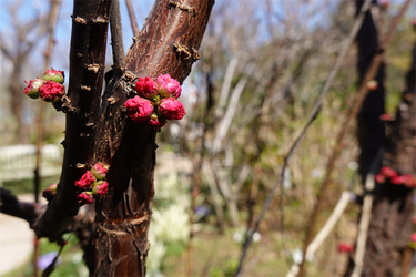 DSC05894_R