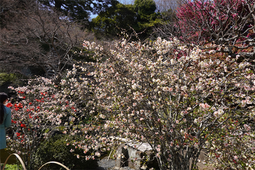 DSC06256_R