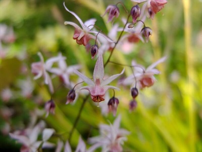 DSCF1614_R