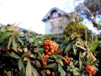 DSCF6154_R