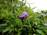 DSCF2118_R