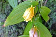 DSCF6189_R