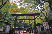 DSCF7343_R