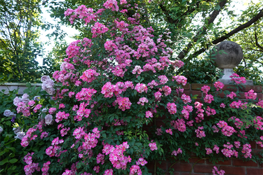 DSC07700_R