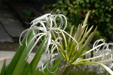 DSC07417_R