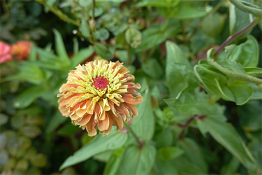 DSC07586_R