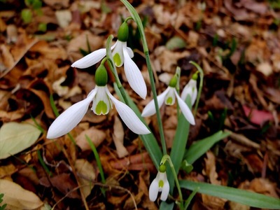 DSCF0855_R