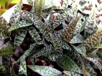 DSCF6222_R
