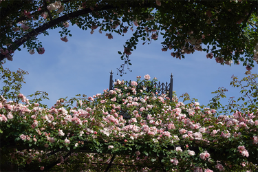 DSC07760_R