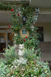 DSC08632_R