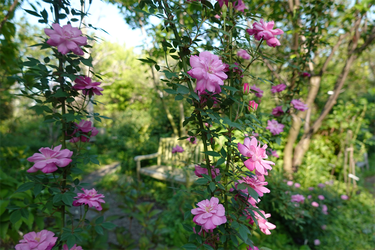 DSC06775_R