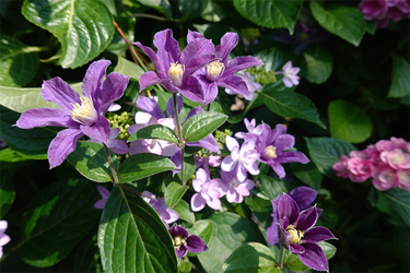 DSC02687_R
