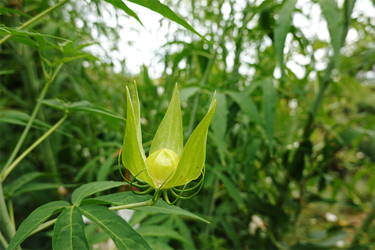DSC09313_R