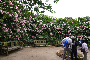 DSC08053_R