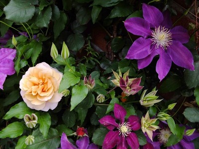 DSCF2515_R