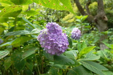 DSC09157_R