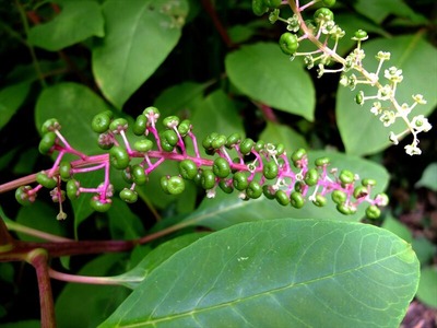DSCF8607_R